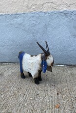 Mini Goat