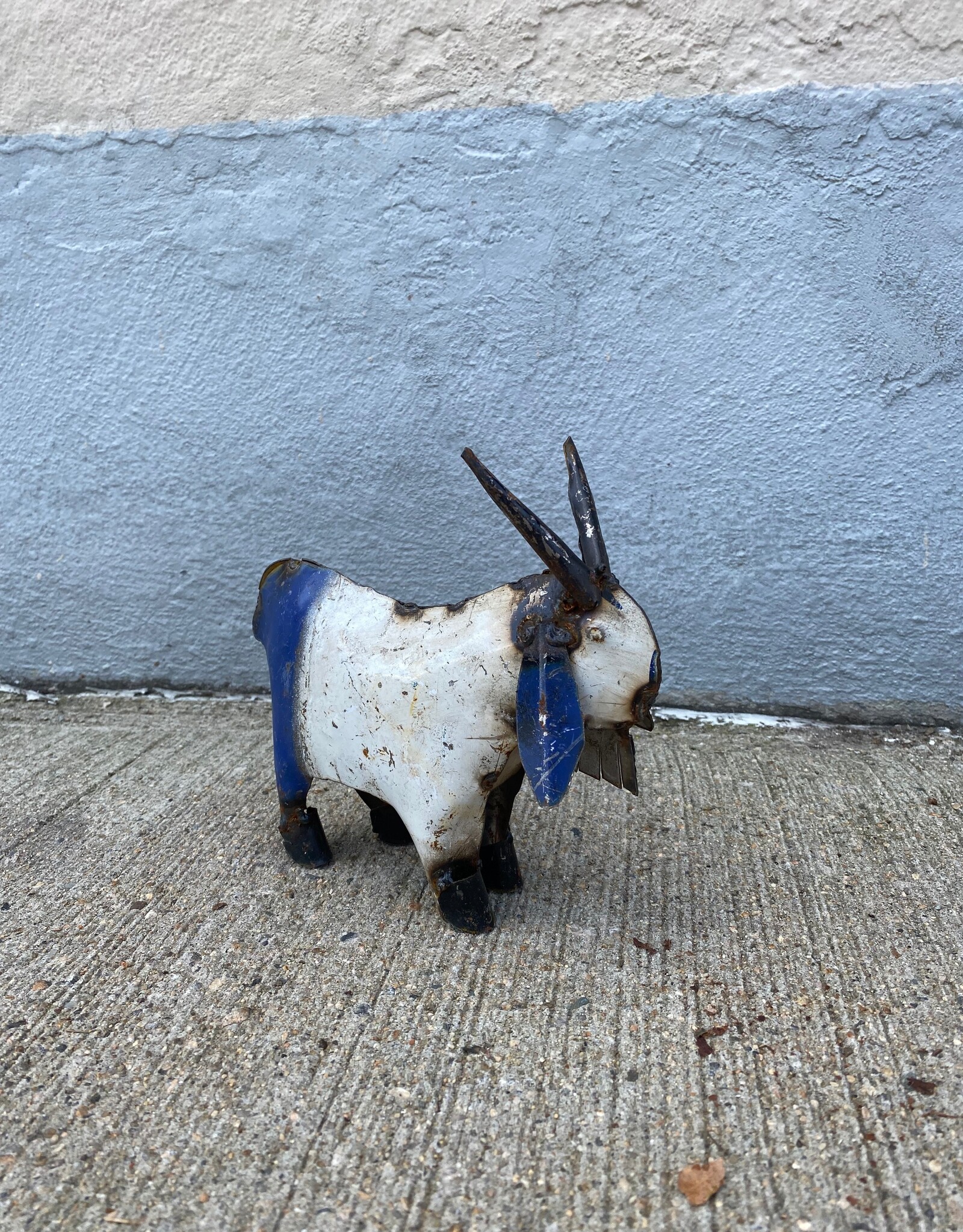 Mini Goat