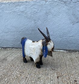 Mini Goat
