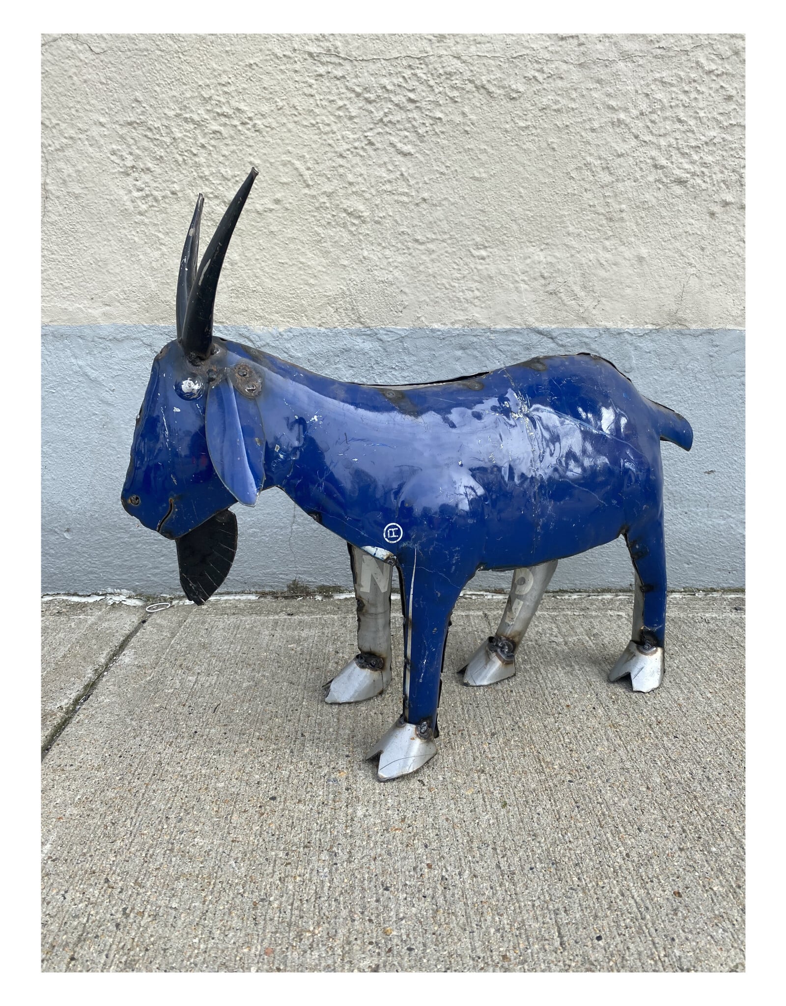 Small Goat - Curbside Pick Up Only!