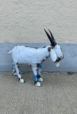 Small Goat - Curbside Pick Up Only!