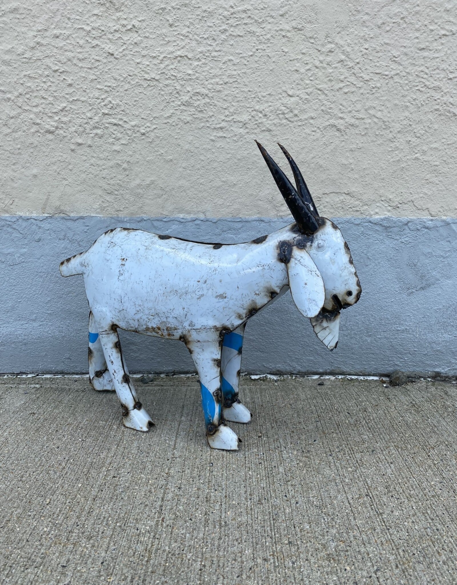 Small Goat - Curbside Pick Up Only!
