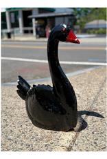 Black Swan - Curbside Pick Up Only!