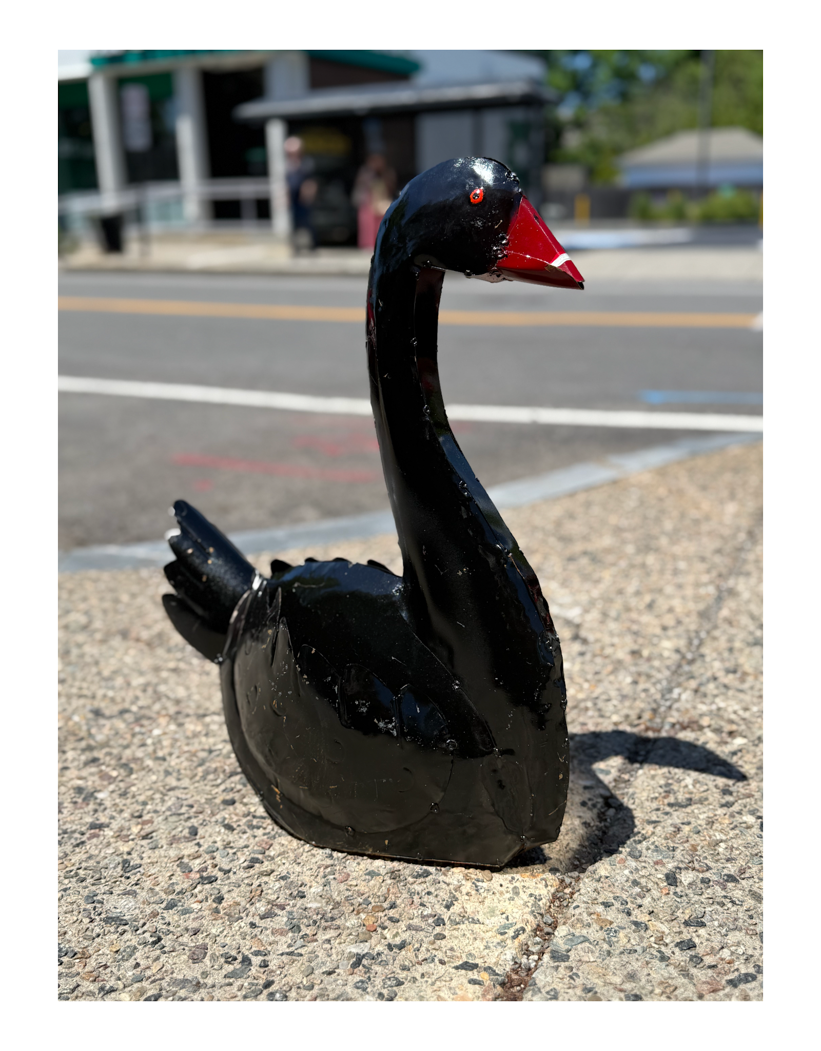 Black Swan - Curbside Pick Up Only!
