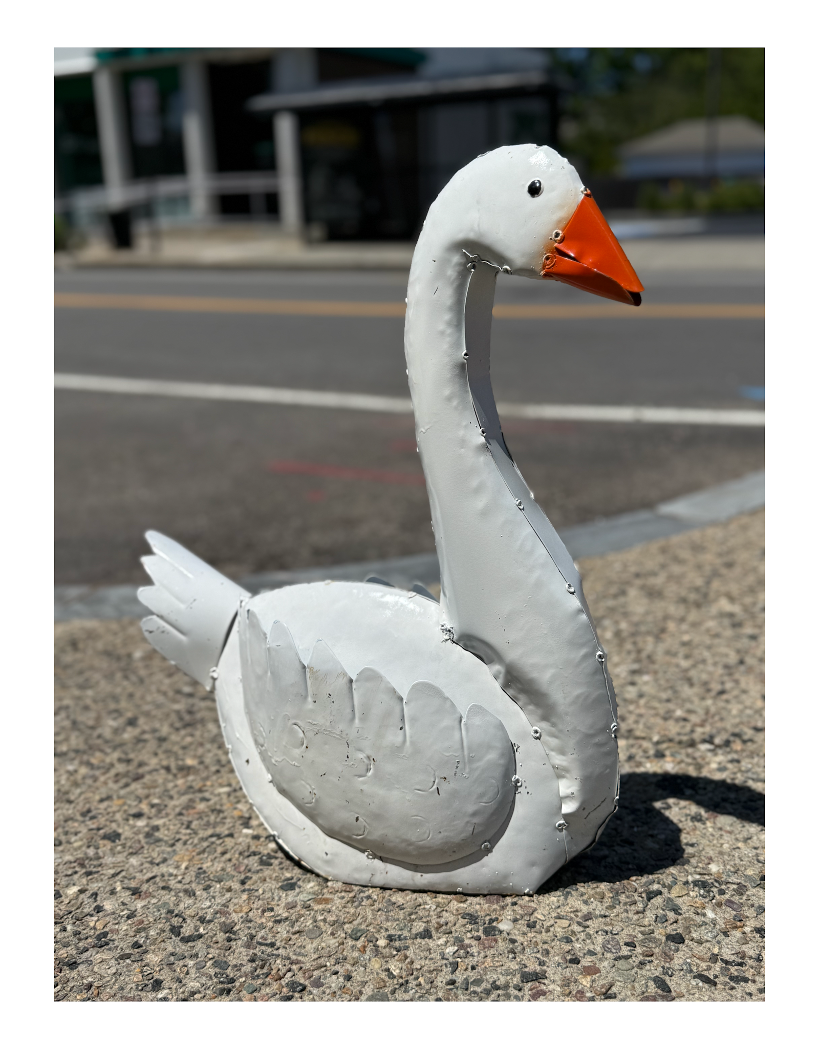 White Swan - Curbside Pick Up Only!