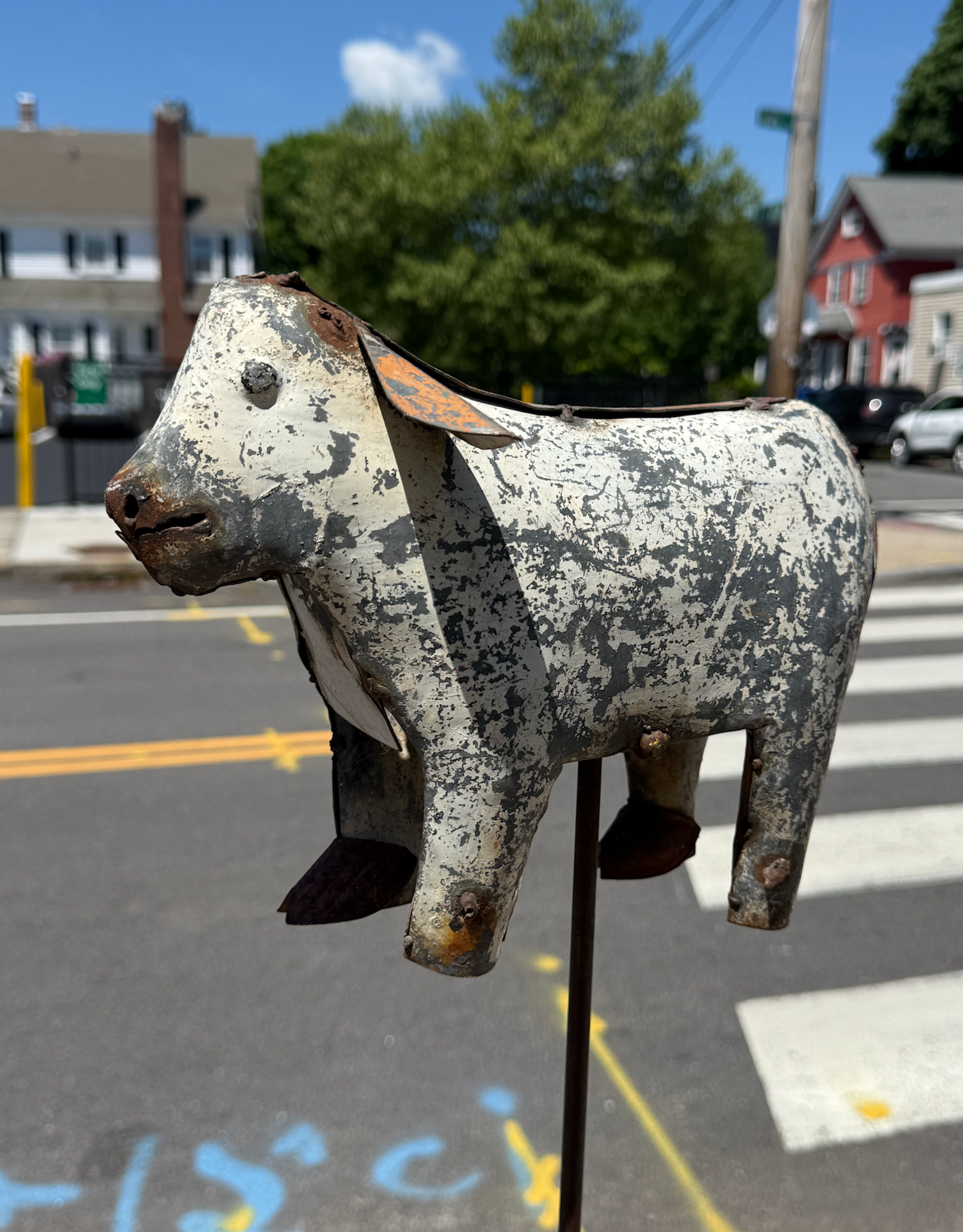 Bull on a Stake - Curbside Pick Up Only!