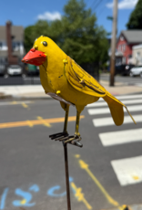 Goldfinch On Stake - Curbside Pick Up Only!