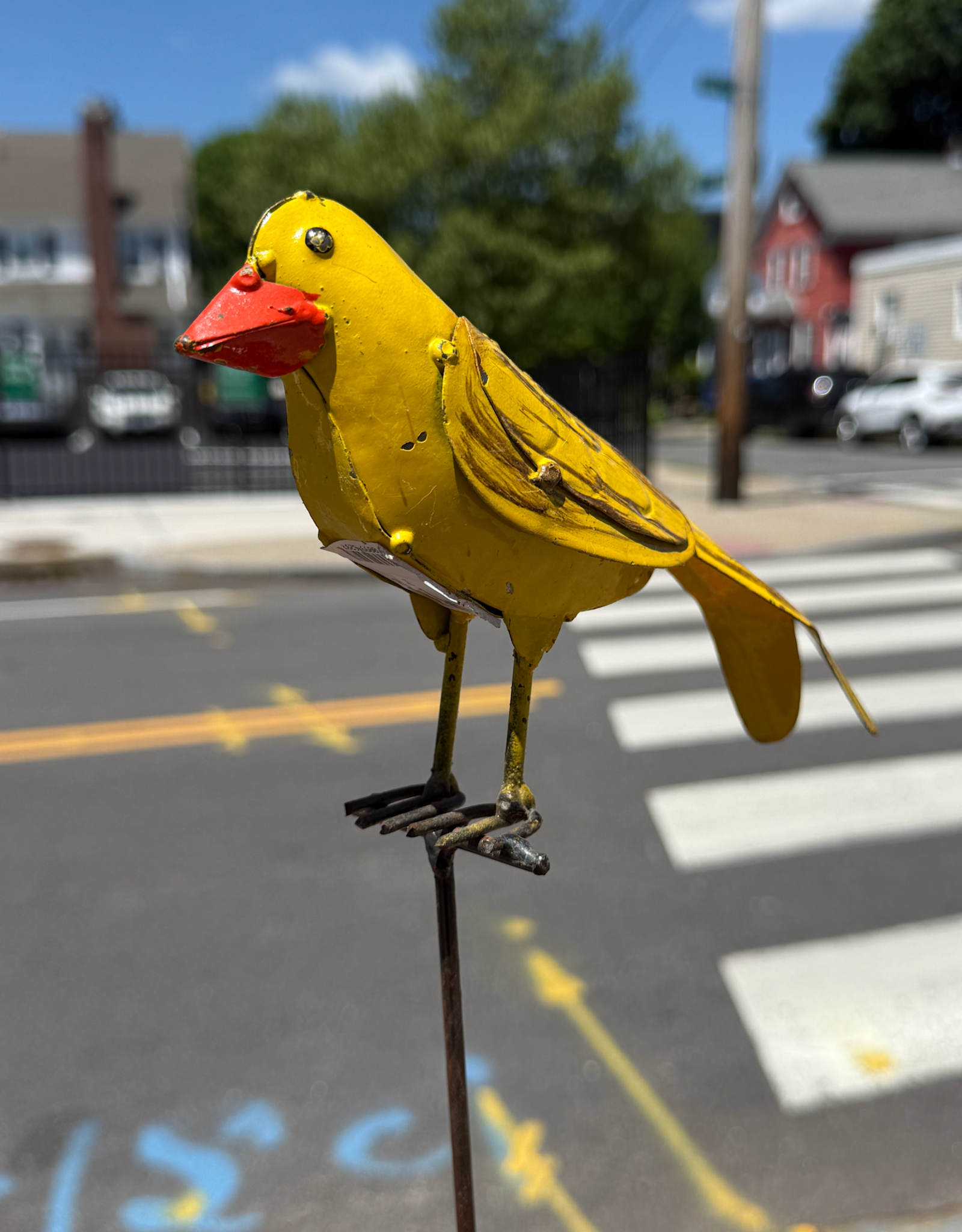 Goldfinch On Stake - Curbside Pick Up Only!