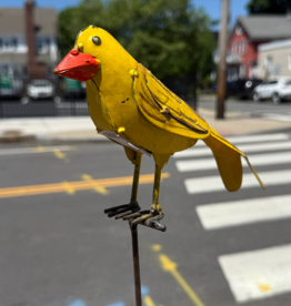 Goldfinch On Stake - Curbside Pick Up Only!