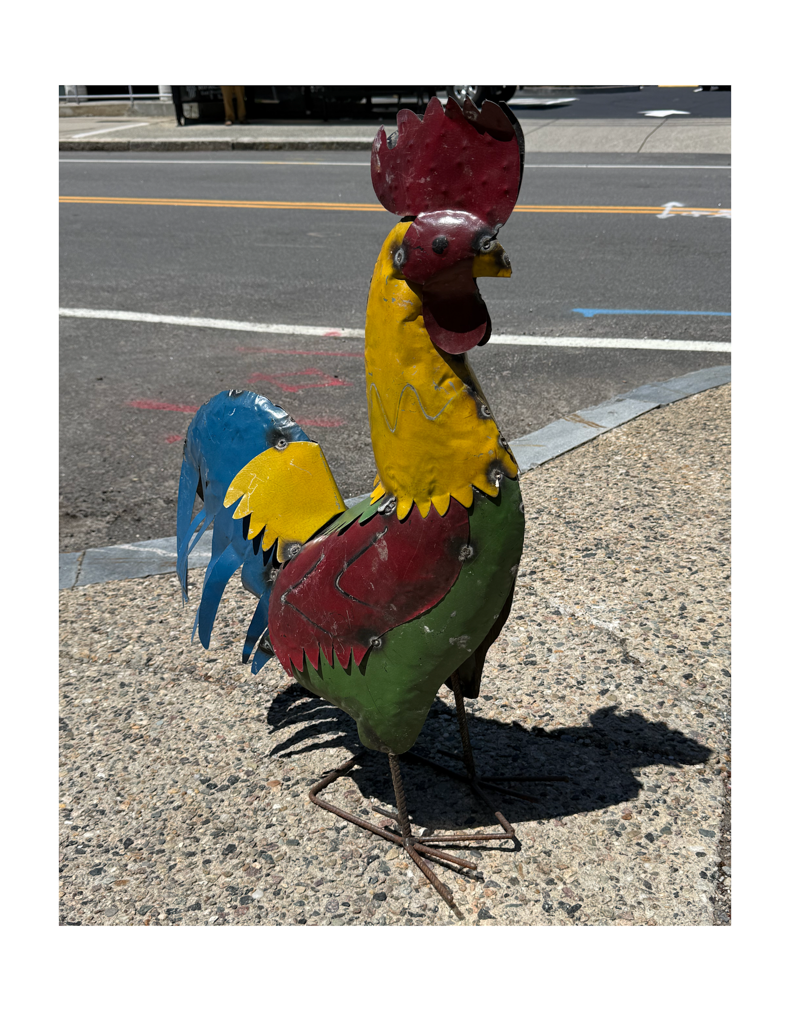Kellog Rooster - Extra Large - Curbside Pick Up Only!