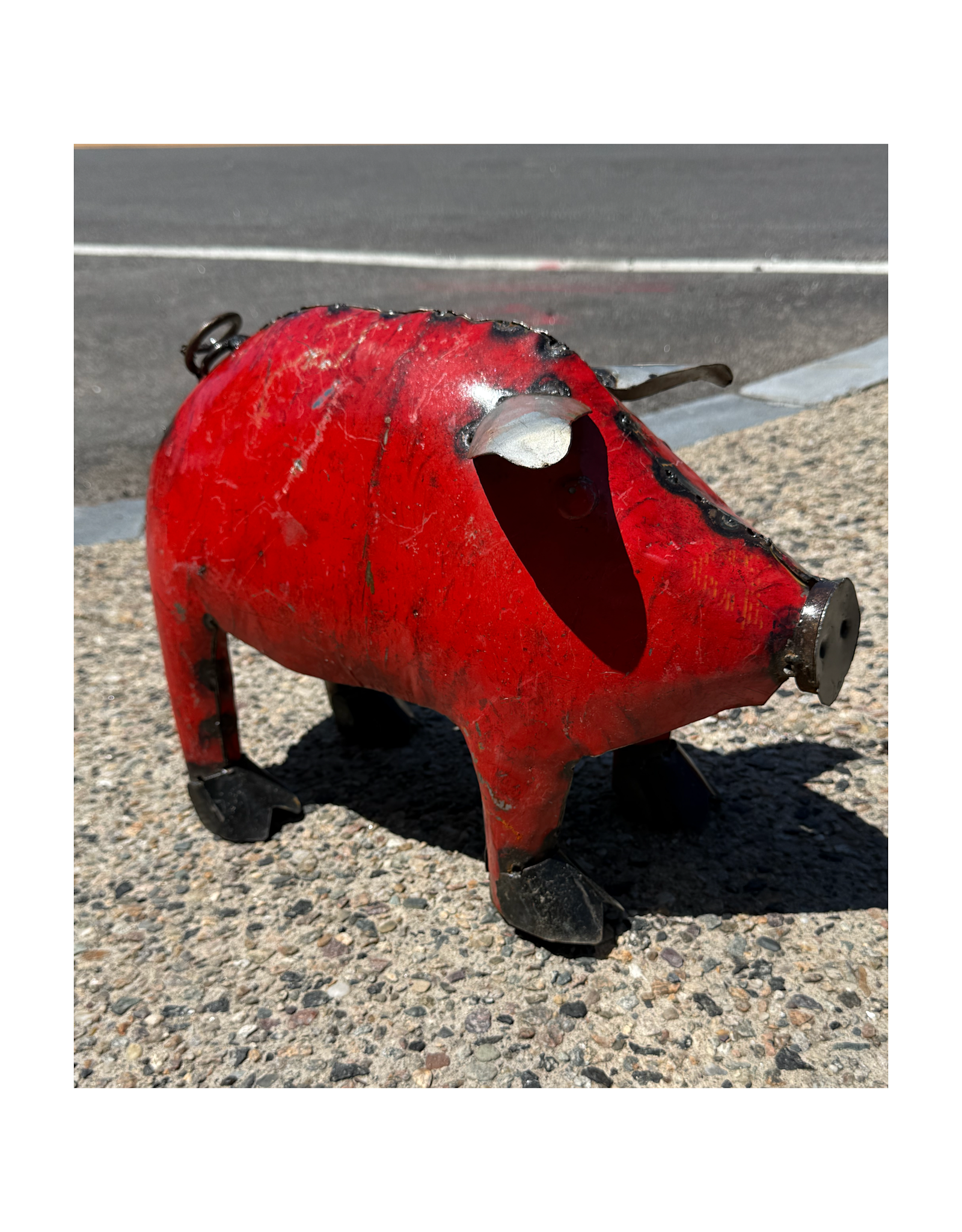 Medium Pig - Curbside Pick Up Only!