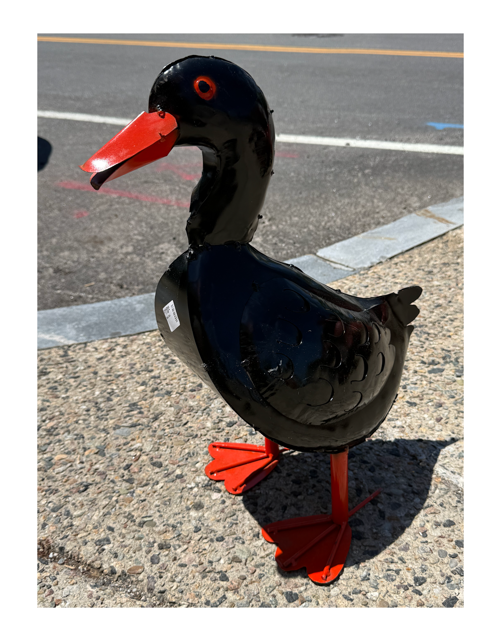 Black Duck - Curbside Pick Up Only!