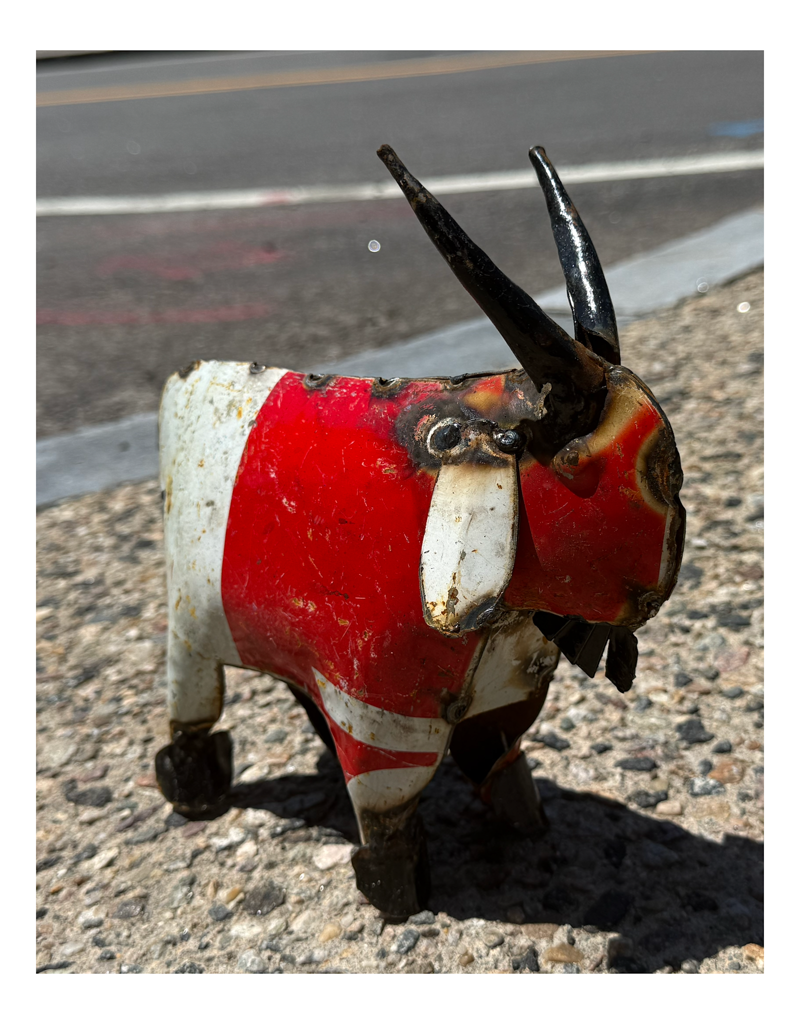 Mini Goat