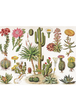 Cactus - 1000 Piece Puzzle