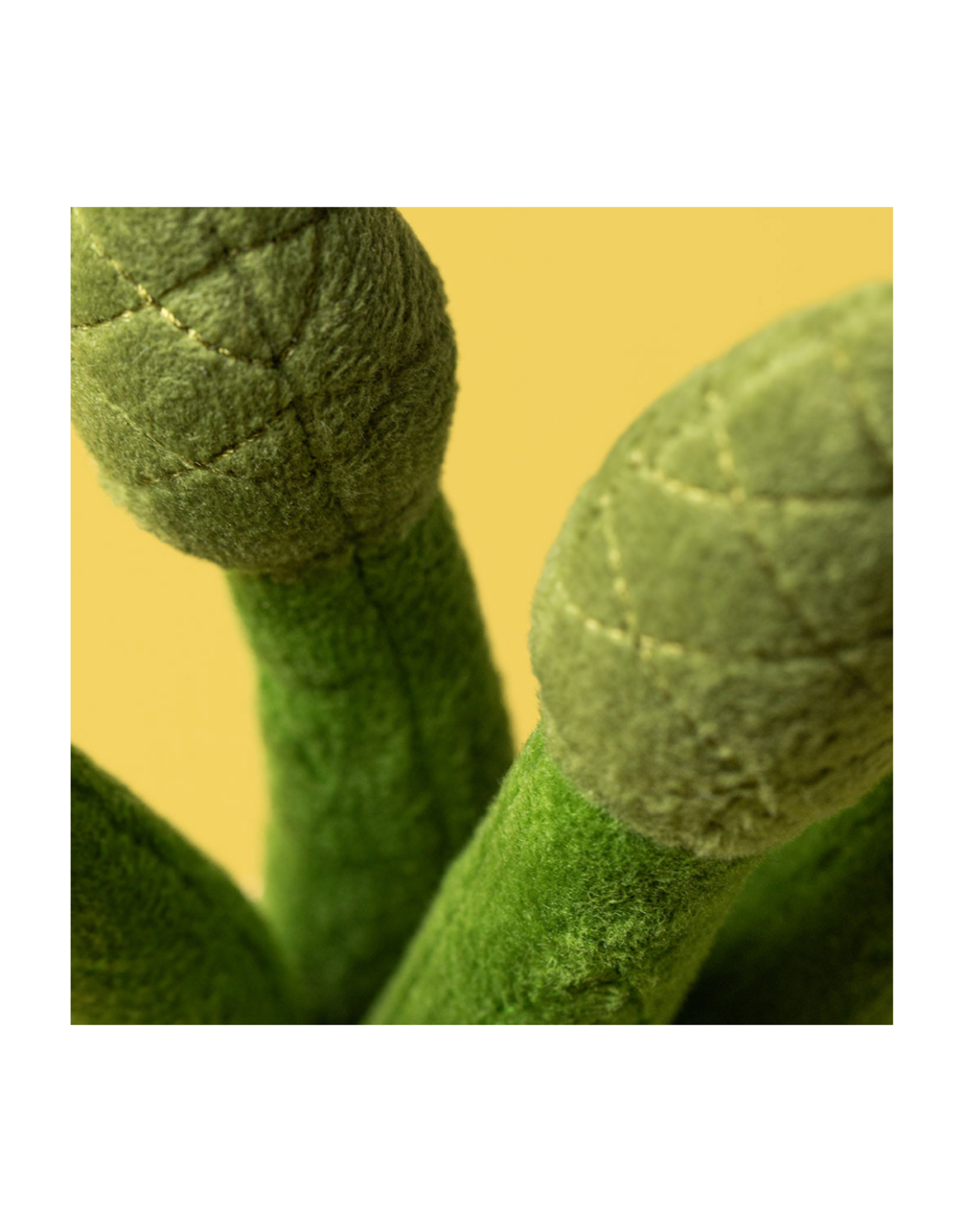 Amuseables Asparagus