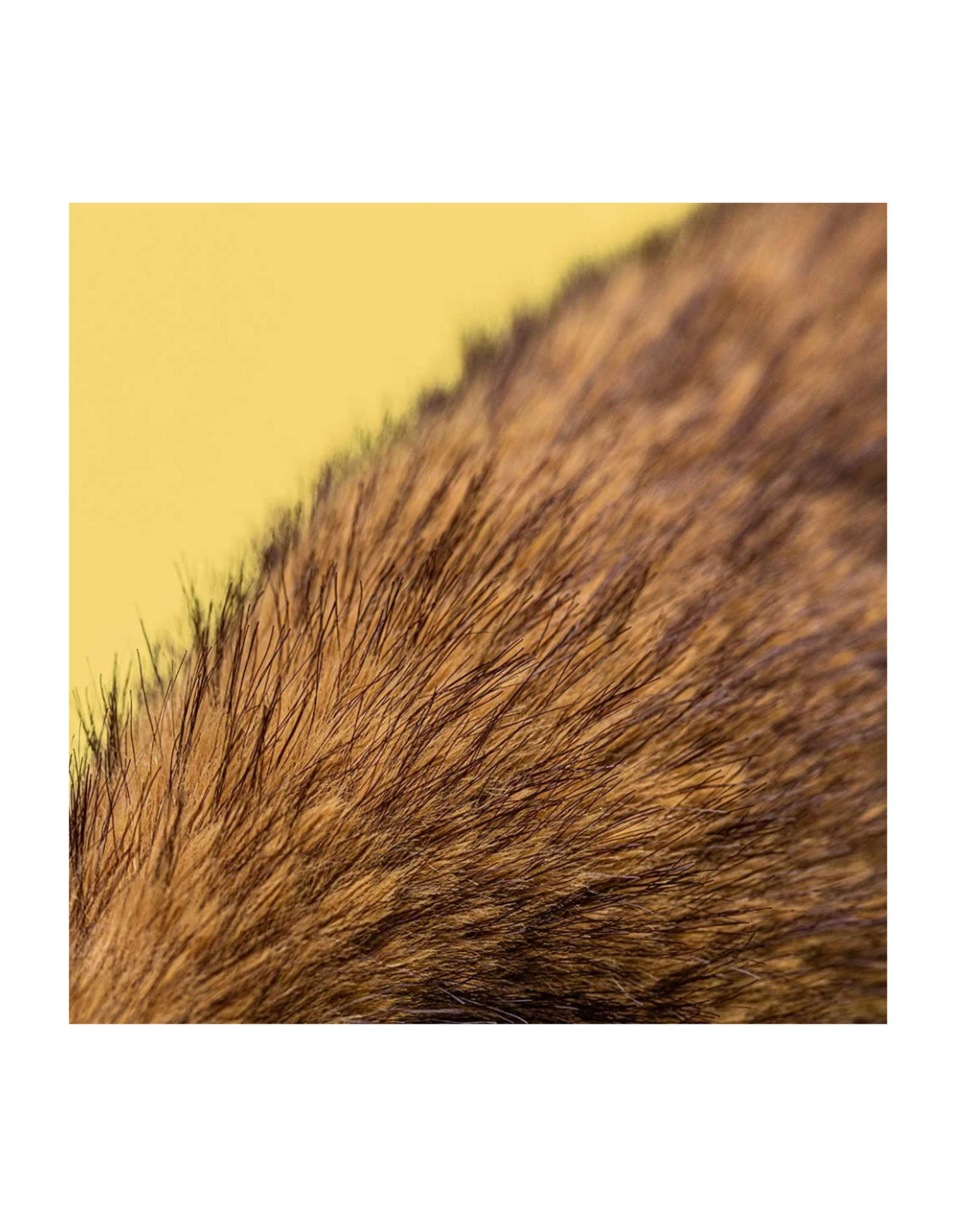 Hoppleston Luxe Bunny Original