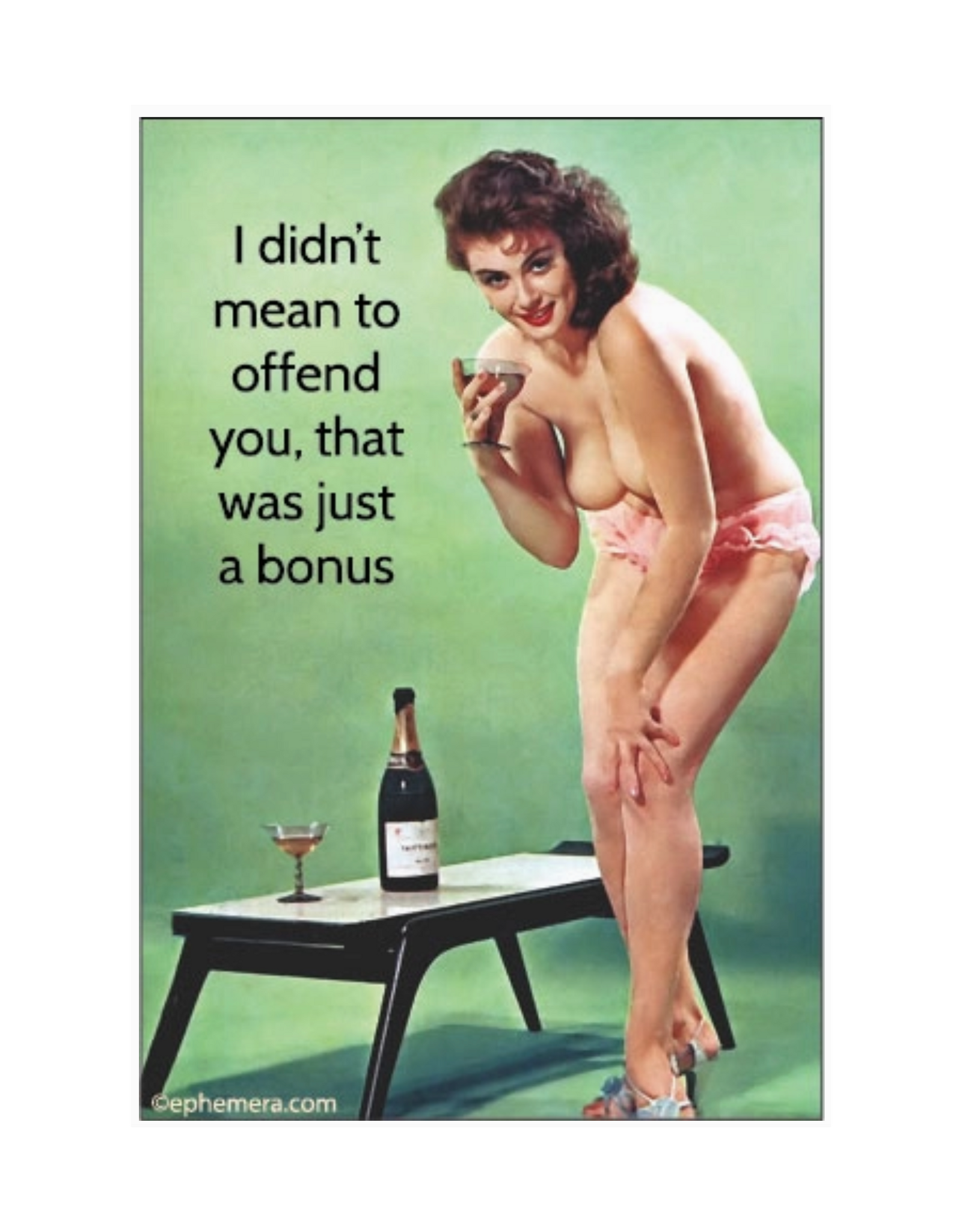 I Didn't Mean to Offend You Magnet