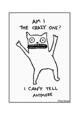 Am I the Crazy One Cat Magnet
