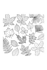 Fantastic Collections Coloring Book *
