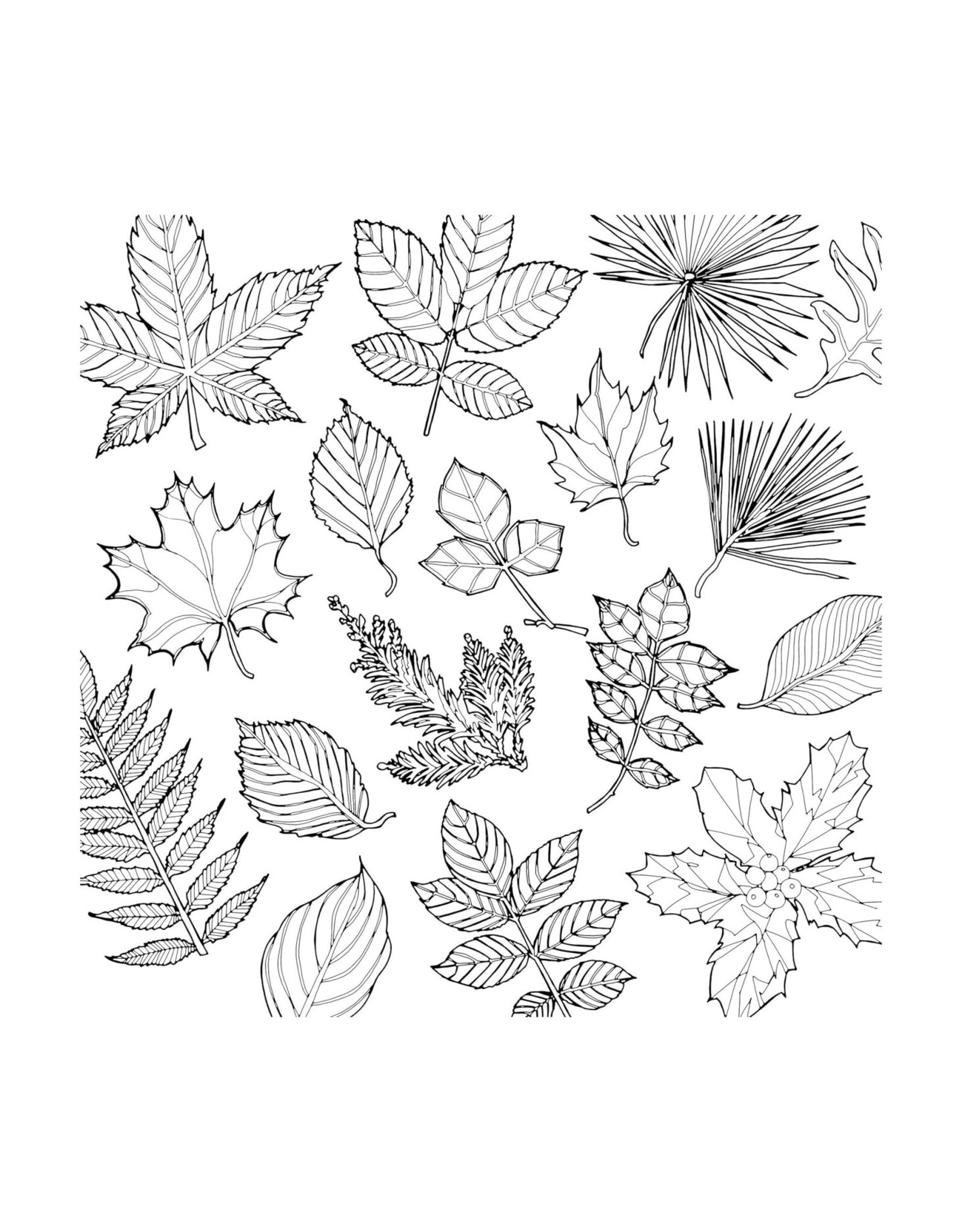 Fantastic Collections Coloring Book *