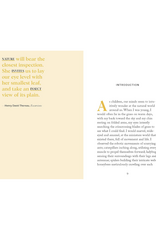 Pocket Nature: Beekeeping