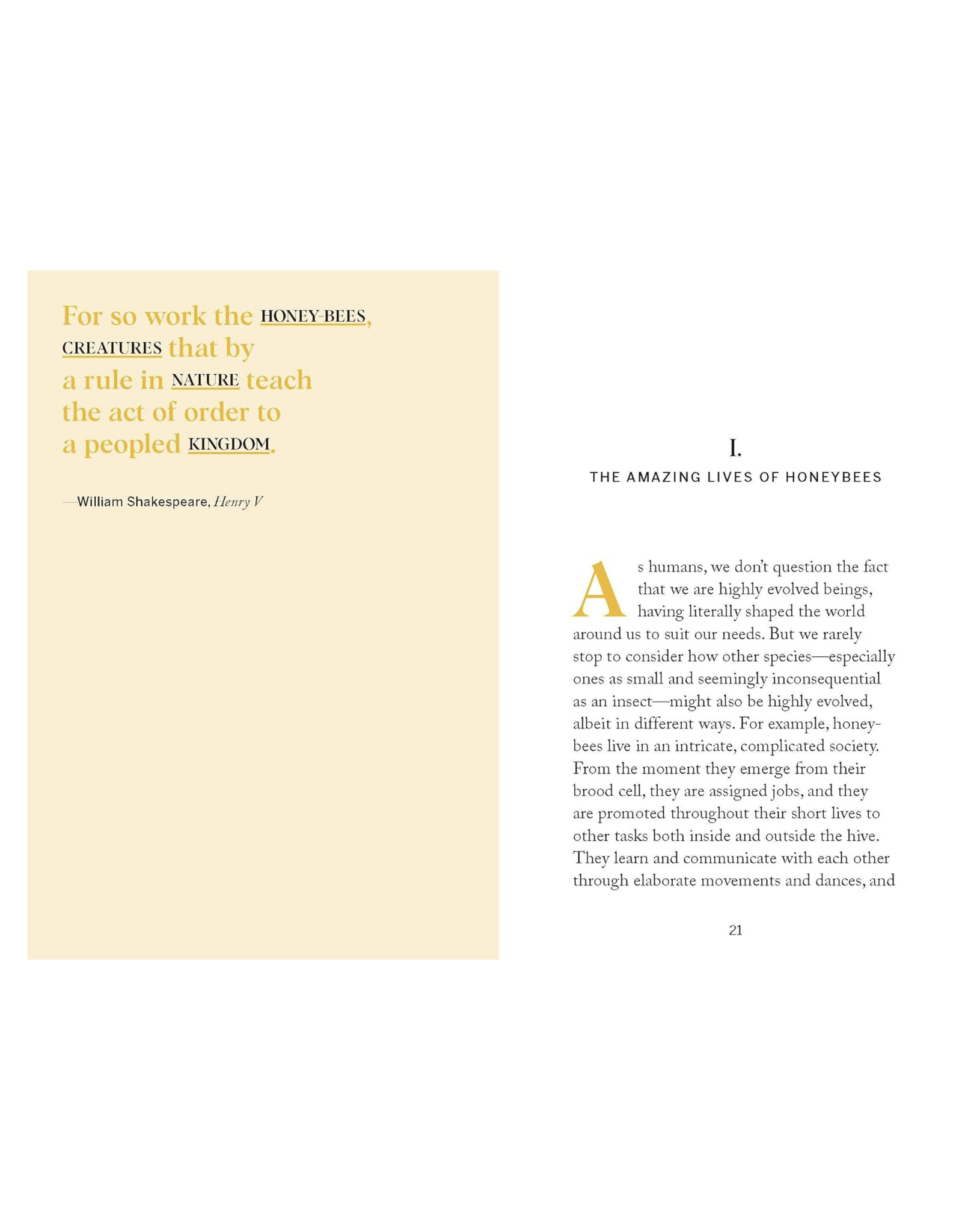 Pocket Nature: Beekeeping