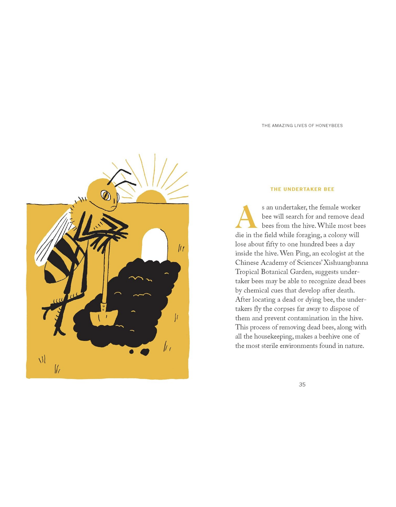 Pocket Nature: Beekeeping