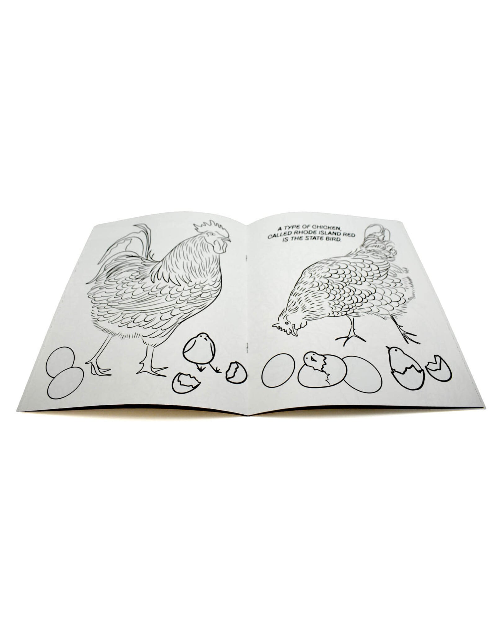 Gia Catauro Rhode Island Coloring Book