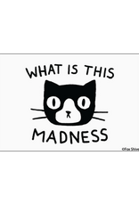 What is This Madness Cat Magnet