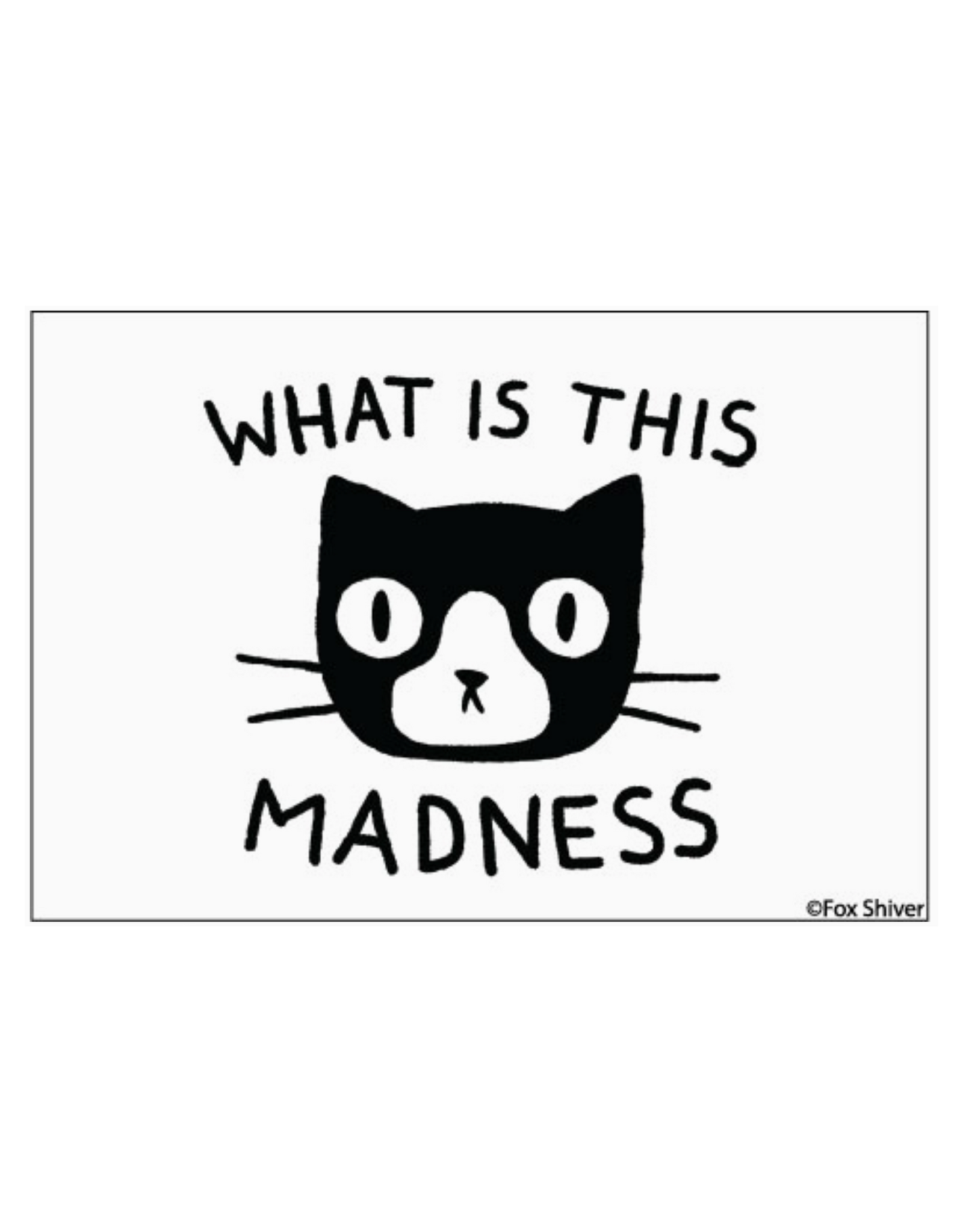 What is This Madness Cat Magnet