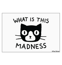 What is This Madness Cat Magnet