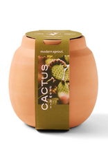 Terracotta Grow Kits - Cactus
