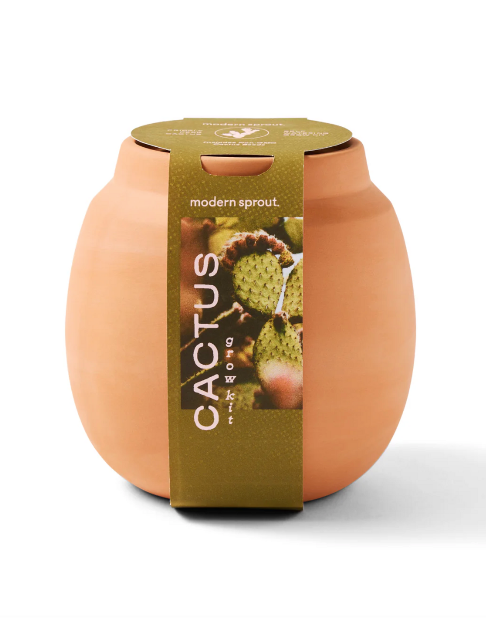 Terracotta Grow Kits - Cactus