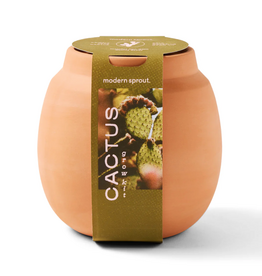 Terracotta Grow Kits - Cactus