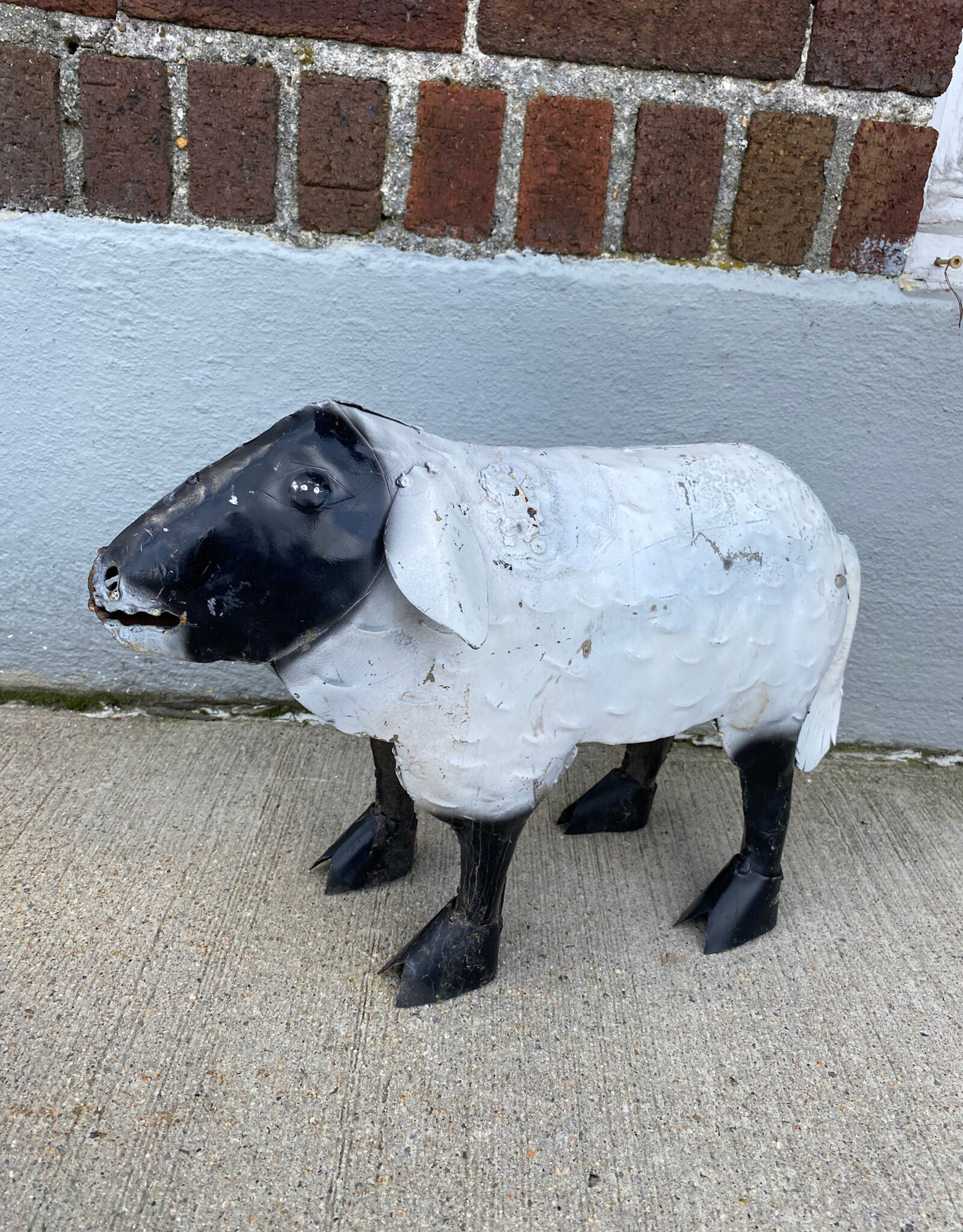 White Sheep - Medium