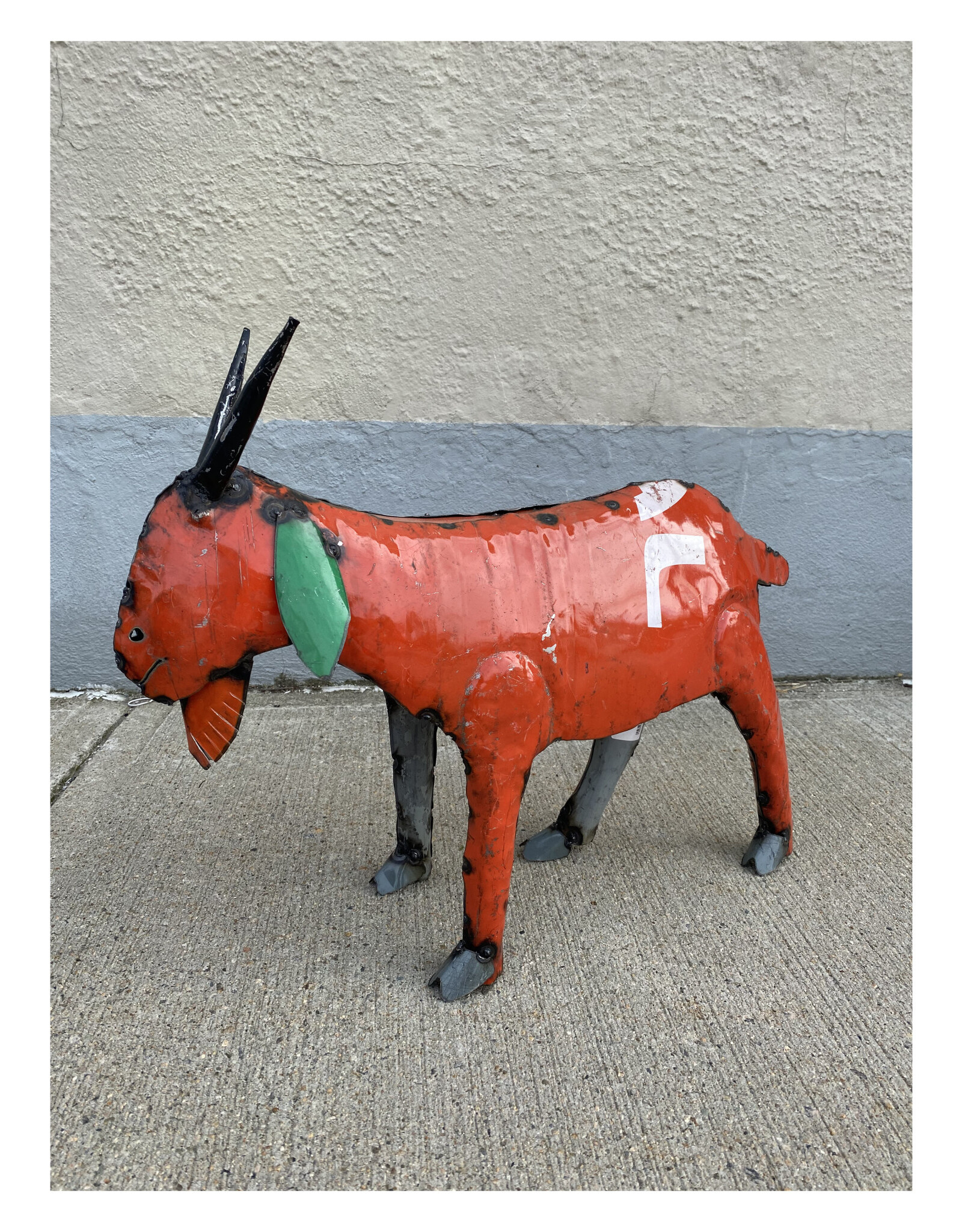 Small Goat - Curbside Pick Up Only!