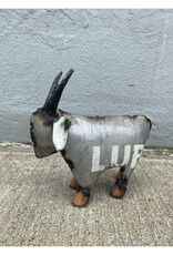 Mini Goat