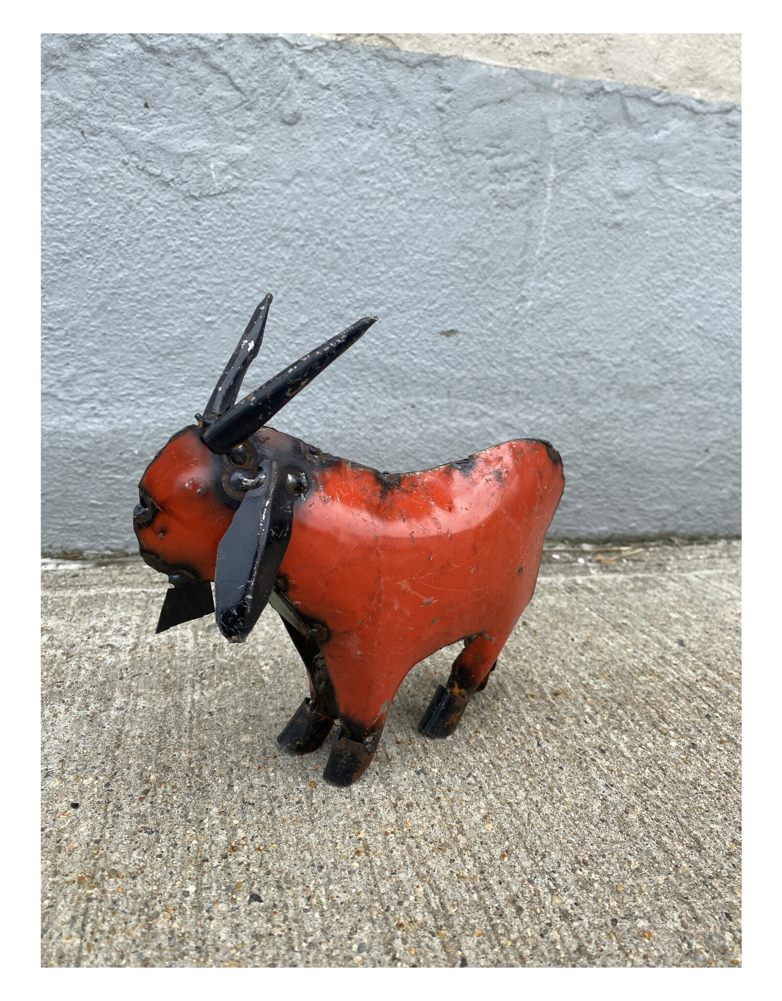Mini Goat
