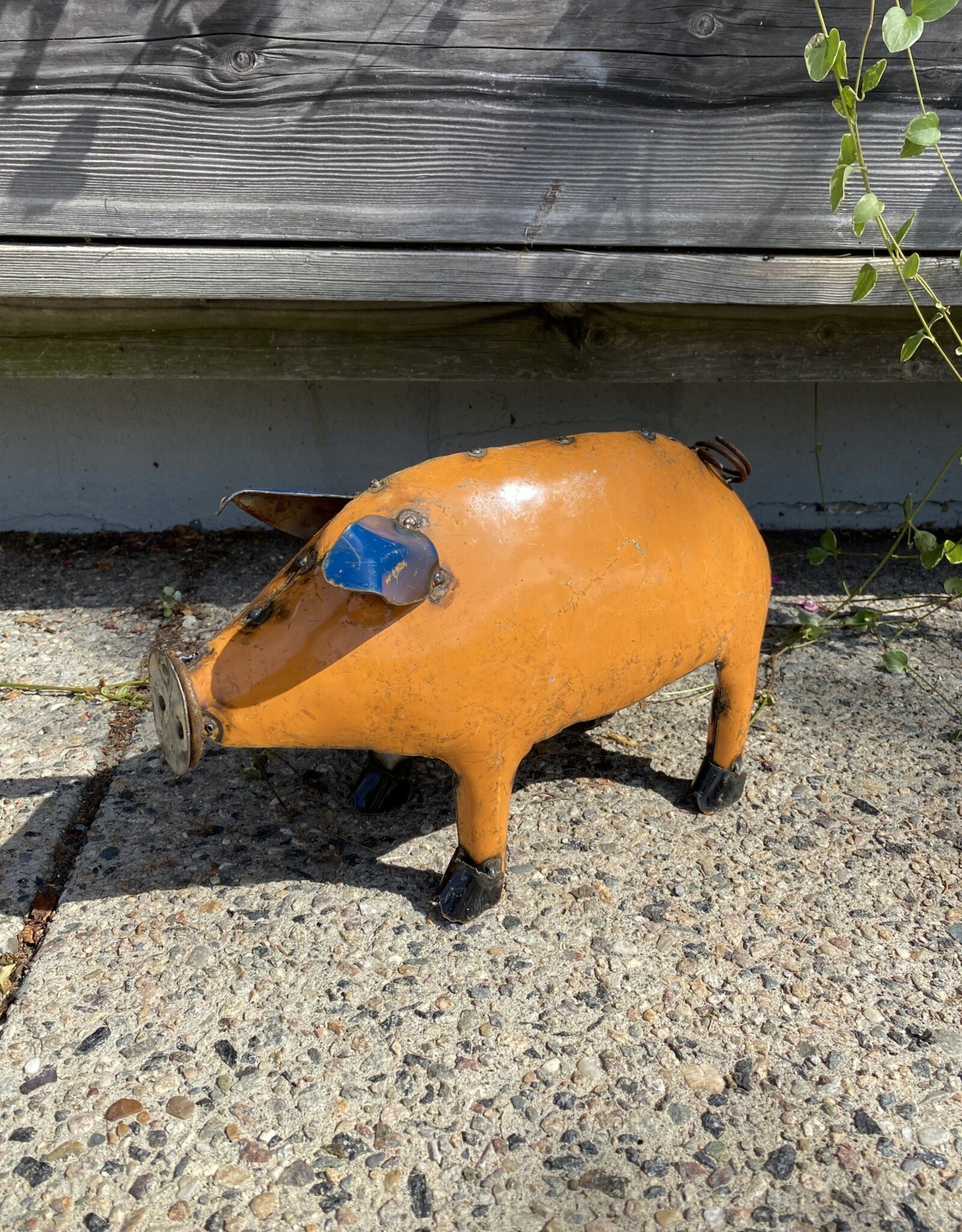Small Pig