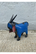 Mini Goat