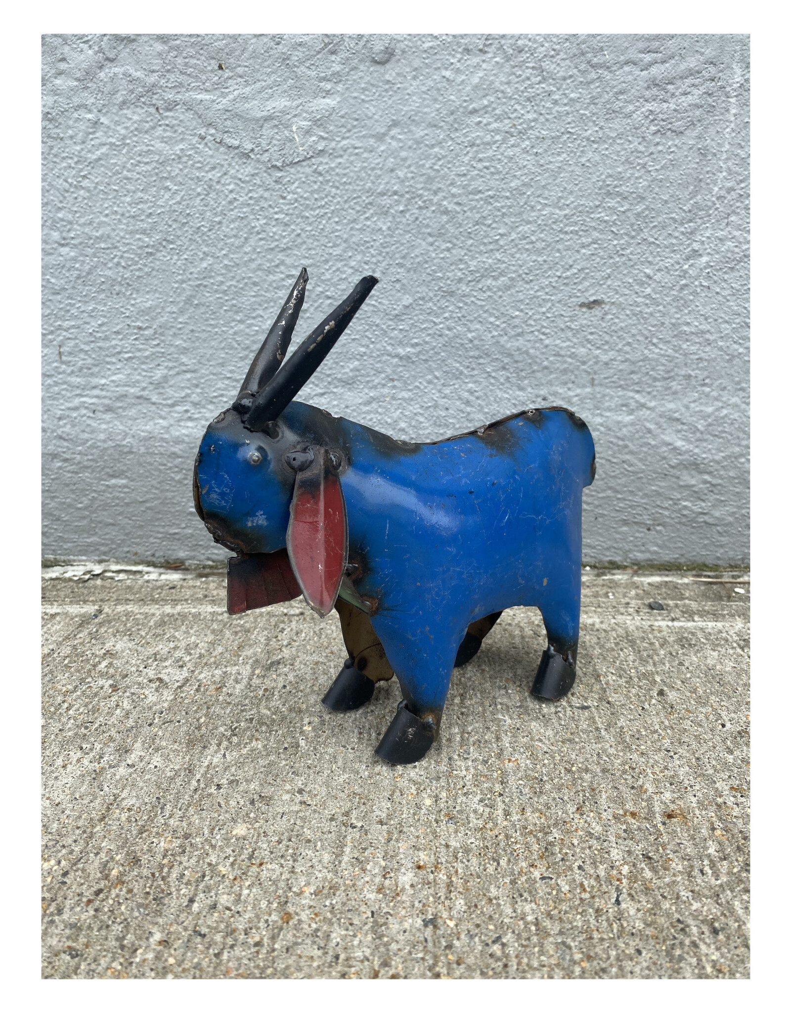 Mini Goat