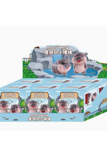 Hippo Moo Deng Blind Box