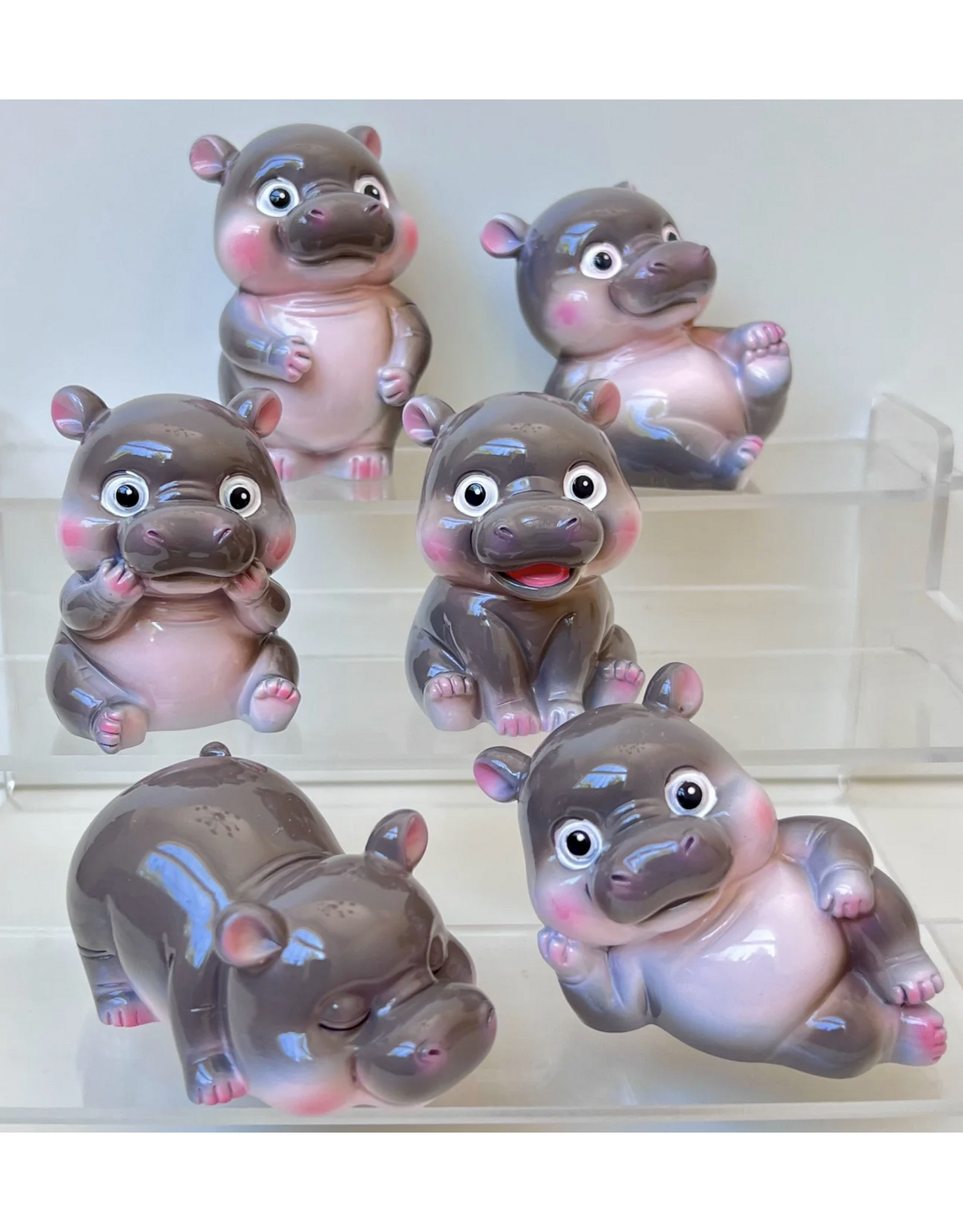 Hippo Moo Deng Blind Box