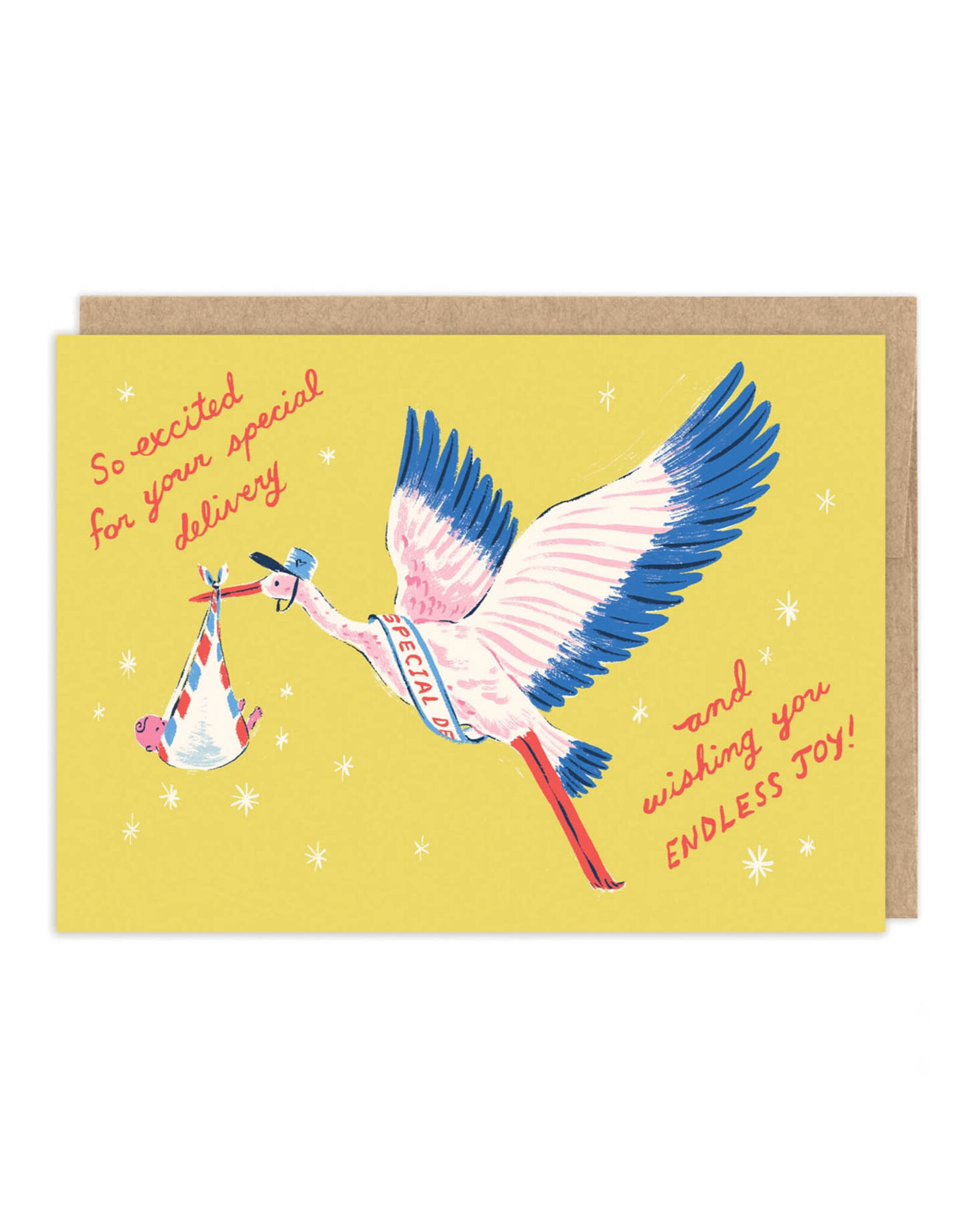 Special Delivery Endless Joy Stork Greeting Card