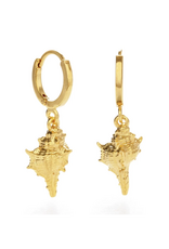 Large Conch Shell Huggie Hoop Earrings