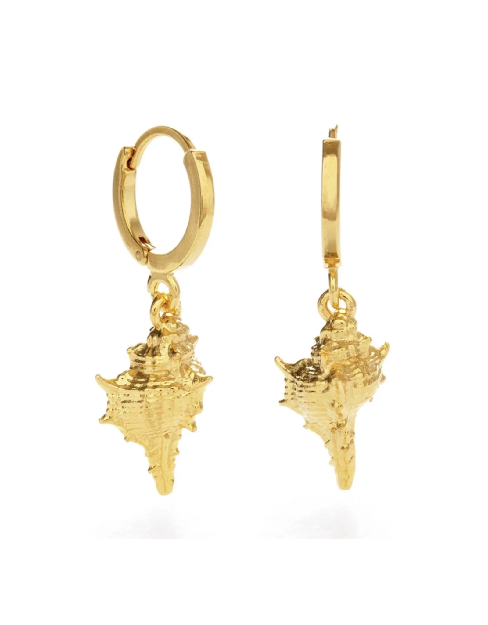 Large Conch Shell Huggie Hoop Earrings
