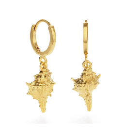 Large Conch Shell Huggie Hoop Earrings