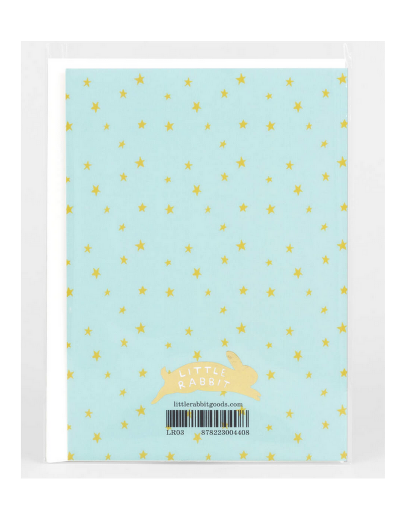 Birthday Swan Greeting Card