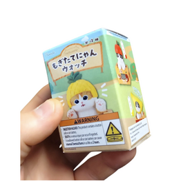 Cat Fruit Clock Blind Box
