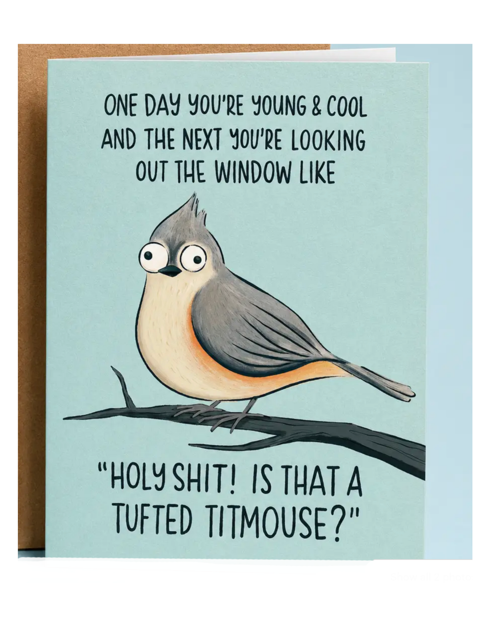 Holy Shit A Tufted Titmouse Birthday Greeting Card